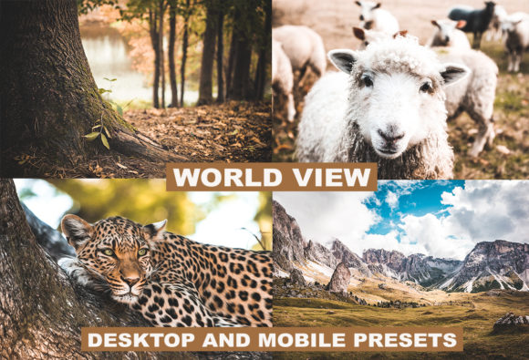 Download Lightroom Presets World View Premium - Lightroom Collection