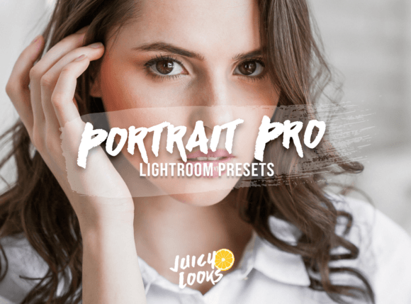 Download 7 PORTRAIT PROFESSIONAL Preset Lightroom - Lightroom Collection