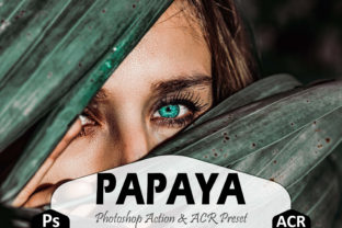 Download Papaya Photoshop Actions and ACR Presets - Premium Resources