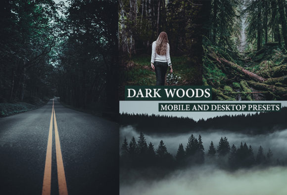 Download Cinematic Dark Woods Lightroom Presets - Lightroom Collection