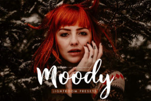 Download Moody Presets for Desktop + Mobile - Mobile Collection