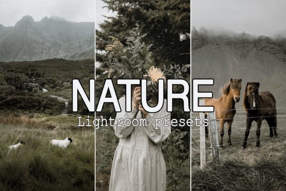 Download 9 Nature Lightroom Presets - Lightroom Collection