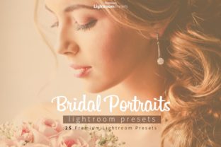Download Bridal Portraits Lightroom Presets - Lightroom Collection