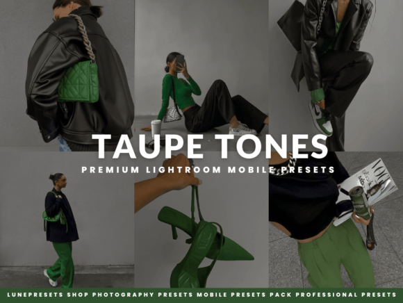 Download Taupe Tones Lightroom Presets - Lightroom Collection