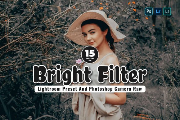 Download 15 Bright Filter Lightroom Presets - Lightroom Collection