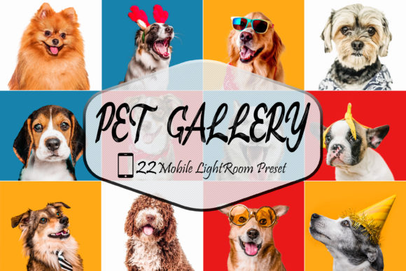 Download 22 Pet Gallery LR Mobile  Presets - Mobile Collection