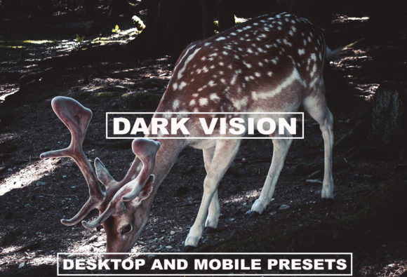 Download Cinematic Lightroom Dark Moody Tones - Lightroom Collection